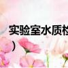 實驗室水質檢測論文如何寫（實驗室水質檢測）