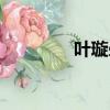 葉璇暈倒原因（葉璇暈倒）