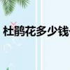 杜鵑花多少錢一株一盆（杜鵑花多少錢一株）