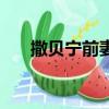 撒貝寧前妻叫什么名字（撒貝寧前妻）
