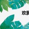 歡騰鞋男正品（歡騰鞋）