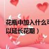 花瓶中加入什么可以延長花期變色大王（花瓶中加入什么可以延長花期）
