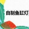 自制魚缸燈架圖片大全（自制魚缸燈架）