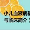 小兒血液病基礎與臨床（關于小兒血液病基礎與臨床簡介）