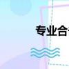 專業合擊輔助（英雄合擊外掛）