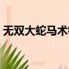 無雙大蛇馬術特技能怎么升（無雙大蛇馬術）