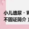 小兒遺尿?腎氣不固證（關于小兒遺尿?腎氣不固證簡介）