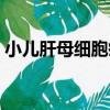 小兒肝母細胞瘤（關于小兒肝母細胞瘤簡介）