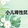 小兒腎性貧血（關于小兒腎性貧血簡介）