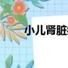 小兒腎臟病（關于小兒腎臟病簡介）