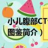 小兒腹部CT診斷圖鑒（關于小兒腹部CT診斷圖鑒簡介）
