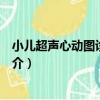 小兒超聲心動圖診斷指南（關于小兒超聲心動圖診斷指南簡介）