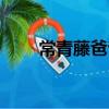 常青藤爸爸(關于常青藤爸爸介紹)