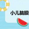 小兒腦膜瘤（關于小兒腦膜瘤簡介）