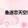 魚迷戀天空泰劇tv（魚迷戀天空 電視劇）