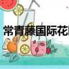 常青藤國際花園(關于常青藤國際花園介紹)