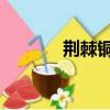 荊棘銅駝 珠簾寨（荊棘銅駝）