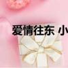 愛情往東 小說（愛情向東婚姻向西小說）