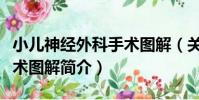 小兒神經外科手術圖解(關于小兒神經外科手術圖解簡介)