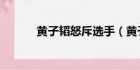 黃子韜怒斥選手(黃子韜敗訴)