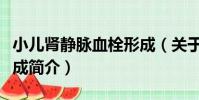 小兒腎靜脈血栓形成(關于小兒腎靜脈血栓形成簡介)