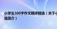 小學生500字作文精評精選(關于小學生500字作文精評精選簡介)