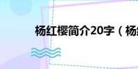 楊紅櫻簡介20字(楊紅櫻簡介)
