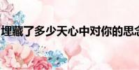 埋藏了多少天心中對你的思念是什么歌的歌詞