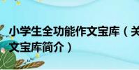 小學生全功能作文寶庫(關于小學生全功能作文寶庫簡介)