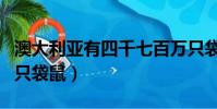 澳大利亞有四千七百萬只袋鼠(澳將消滅百萬只袋鼠)