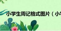 小學生周記格式圖片(小學生周記格式)
