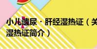 小兒遺尿?肝經濕熱證(關于小兒遺尿?肝經濕熱證簡介)