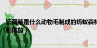 紫毫筆是什么動物毛制成的螞蟻森林(紫毫筆是什么動物毛制成的)