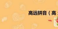 高遠拼音(高 遠)