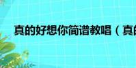 真的好想你簡譜教唱(真的好想你曲譜)