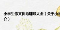 小學生作文優秀輔導大全(關于小學生作文優秀輔導大全簡介)