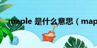 maple 是什么意思(maple是什么意思)