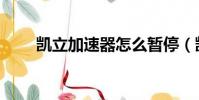 凱立加速器怎么暫停(凱立加速器)