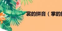 裳的拼音(掌的拼音)