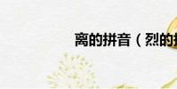離的拼音(烈的拼音)