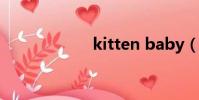 kitten baby(kx)