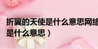 折翼的天使是什么意思網絡用語(折翼的天使是什么意思)