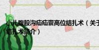 小兒腹股溝疝疝囊高位結扎術(關于小兒腹股溝疝疝囊高位結扎術簡介)