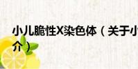 小兒脆性X染色體(關于小兒脆性X染色體簡介)