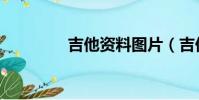 吉他資料圖片(吉他資料)