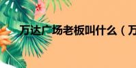 萬達廣場老板叫什么(萬達廣場老板)