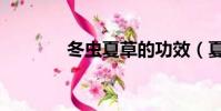 冬蟲夏草的功效(夏蟲朝菌)
