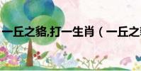 一丘之貉,打一生肖(一丘之貉打一最佳生肖)