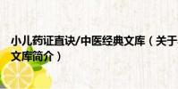 小兒藥證直訣/中醫經典文庫(關于小兒藥證直訣/中醫經典文庫簡介)