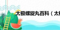 太極螺旋丸百科(太極螺旋丸)